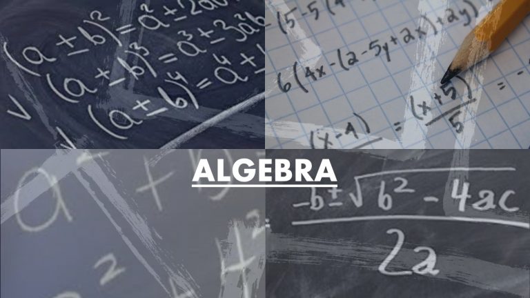 STD VIII – ALGEBRA (Hybrid)