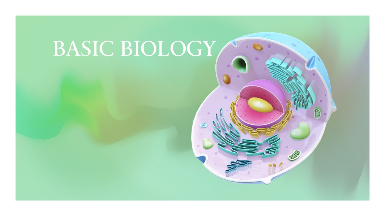 STD IX – BASIC BIOLOGY – PASCAL