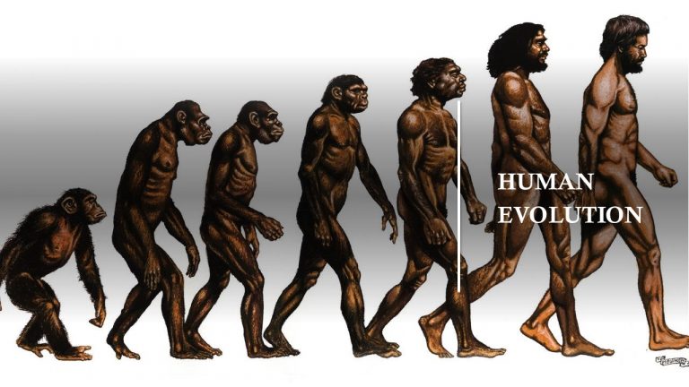 STD X – HUMAN EVOLUTION – NEWTON