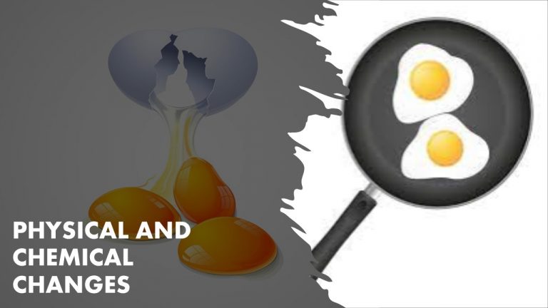 STD VIII – PHYSICAL AND CHEMICAL CHANGES (Hybrid)
