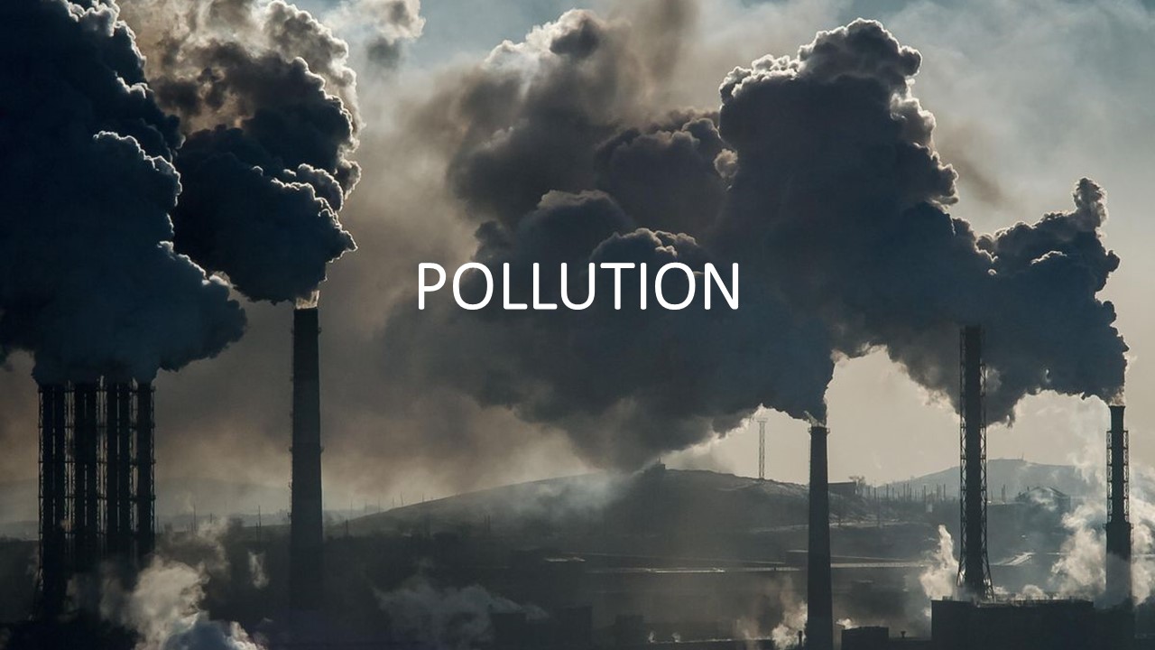 STD X – POLLUTION – EINSTEIN